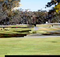 Deniliquin Golf Club - Phillip Island Accommodation