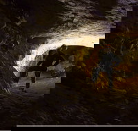 Dennings Labyrinth - Phillip Island Accommodation