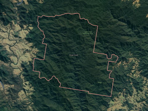 Dingo Forest - Phillip Island Accommodation 0