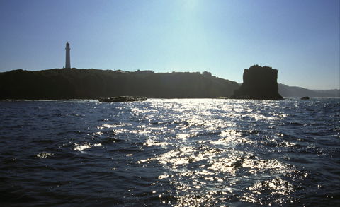 Eagle Rock Marine Sanctuary - Phillip Island Accommodation 2