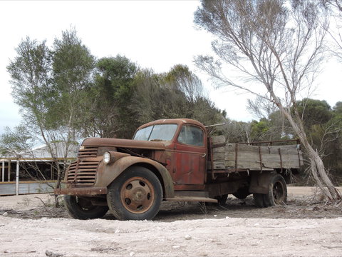 Emu Ridge Eucalyptus Pty Ltd - Phillip Island Accommodation 2