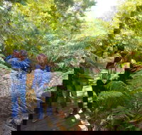 Endeavour Fern Gully Walks - Phillip Island Accommodation