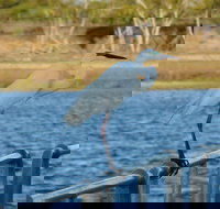 Groper Creek - Phillip Island Accommodation