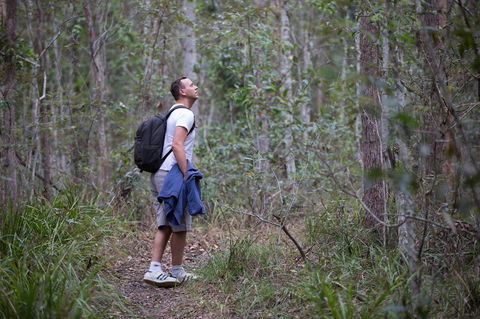 Ironbark Ridge And Spotted Gum Walking Trails - Phillip Island Accommodation 2