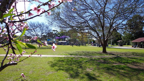 Koshigaya Park - Phillip Island Accommodation 0