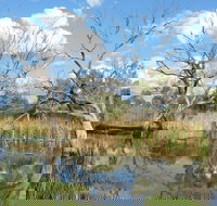 Lagoon Creek - Phillip Island Accommodation