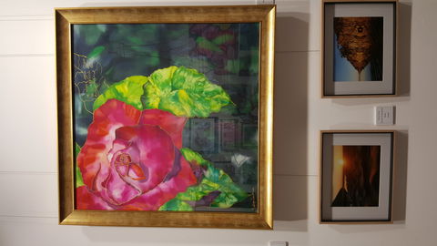 Macleay Valley Community Art Gallery - Phillip Island Accommodation 0