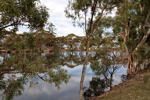 Merredin Railway Dam - Phillip Island Accommodation 0