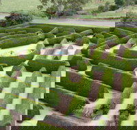 Mintaro Maze - Phillip Island Accommodation