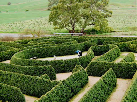 Mintaro Maze - Phillip Island Accommodation 1