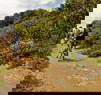 Mountain Biking Trails - Phillip Island Accommodation