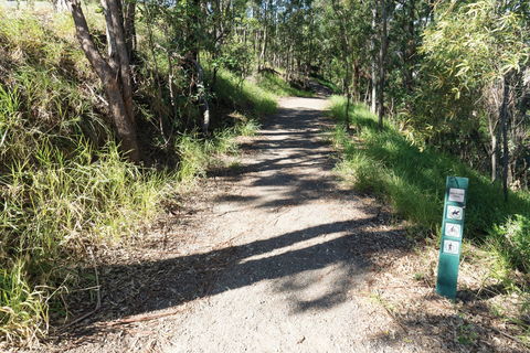 Mt Coot-tha Tourist Drive - Phillip Island Accommodation 2