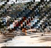 Myponga Reservoir Trail - Phillip Island Accommodation