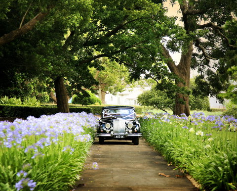 Queens Park, Toowoomba - Phillip Island Accommodation 2