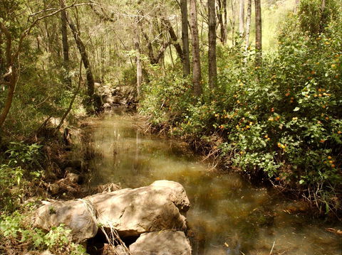 Sandy Creek Track - Phillip Island Accommodation 0