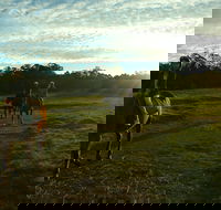 Scenic NSW Horse Riding Centre - Phillip Island Accommodation