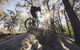 St Helens Mountain Bike Trails - thumb 1