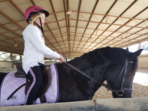 The Equine Club - Phillip Island Accommodation 1