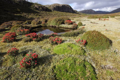 Walls Of Jerusalem National Park - Phillip Island Accommodation 1