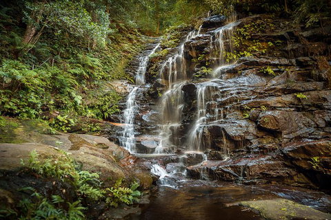 Ultimate Blue Mountains Waterfalls, Walks & Sunset PRIVATE Tour - Phillip Island Accommodation 10