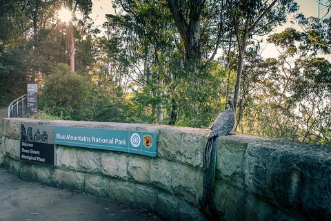 Ultimate Blue Mountains Waterfalls, Walks & Sunset PRIVATE Tour - Phillip Island Accommodation 8