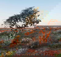 Merton Motor Trail - Phillip Island Accommodation
