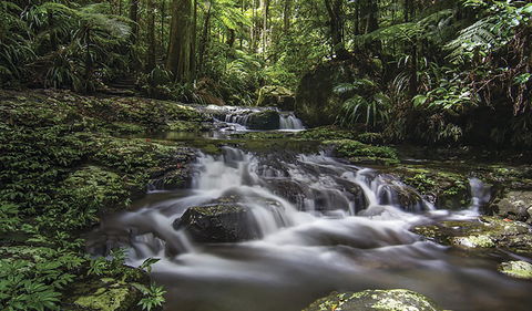 Protesters Falls Walking Track - Phillip Island Accommodation 0