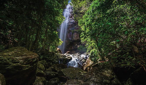 Protesters Falls Walking Track - Phillip Island Accommodation 1
