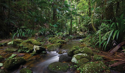 Protesters Falls Walking Track - Phillip Island Accommodation 2