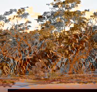 Yawura Yarun - Phillip Island Accommodation