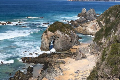 Narooma And Tilba Valley Private Tour - Phillip Island Accommodation 8