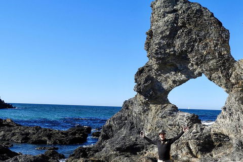 Narooma And Tilba Valley Private Tour - Phillip Island Accommodation 4