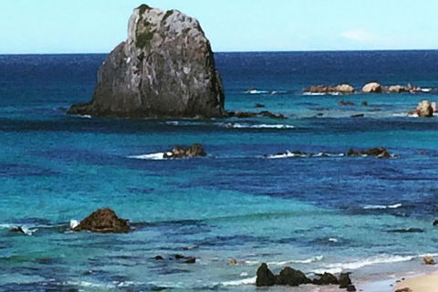 Narooma And Tilba Valley Private Tour - Phillip Island Accommodation 9