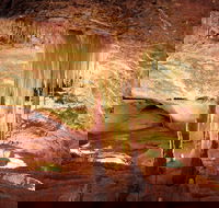 Jenolan Caves Ribbon Cave Tour - Phillip Island Accommodation
