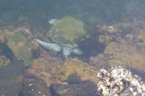 Sawtell To Coffs Harbour Bike Ride - Phillip Island Accommodation 4