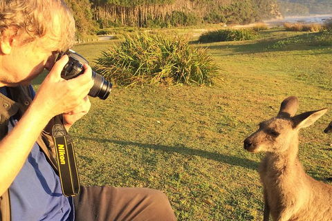 Highlights Of The Eurobodalla (half Day Private Tour) - Phillip Island Accommodation 2