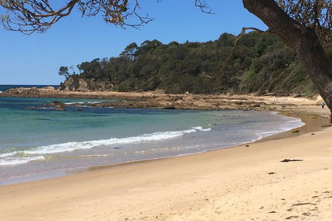 Highlights Of The Eurobodalla (half Day Private Tour) - Phillip Island Accommodation 5