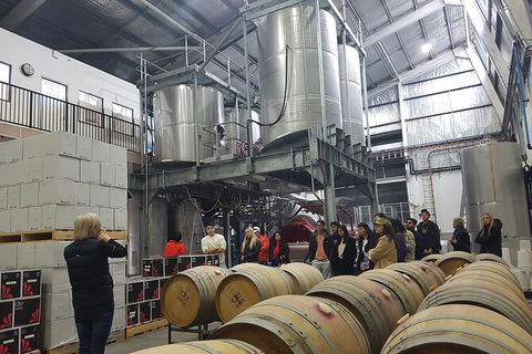 Hunter Valley Small Group Wine, Gin, Cheese & Chocolate Tour - Phillip Island Accommodation 6
