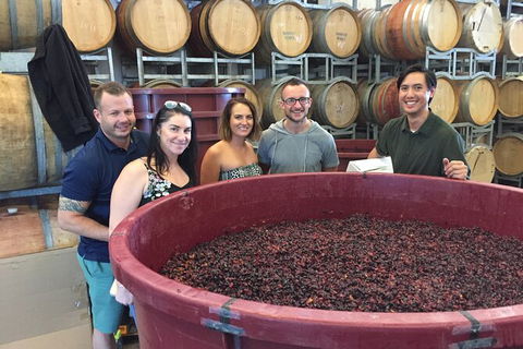 Hunter Valley Small Group Wine, Gin, Cheese & Chocolate Tour - Phillip Island Accommodation 0