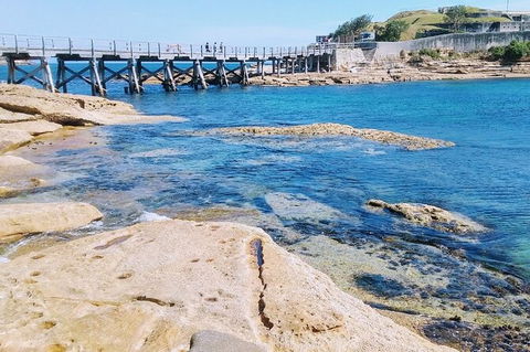 Sydney Sightseeing Tour In A Luxury Mercedes-Benz People Mover - Phillip Island Accommodation 3