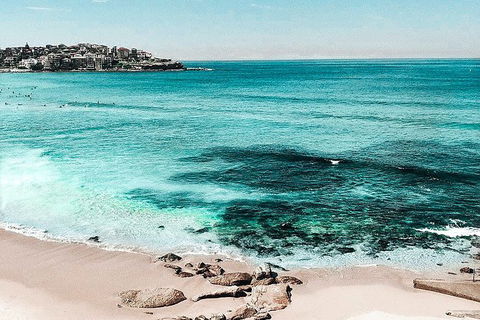 Sydney Sightseeing Tour In A Luxury Mercedes-Benz People Mover - Phillip Island Accommodation 2