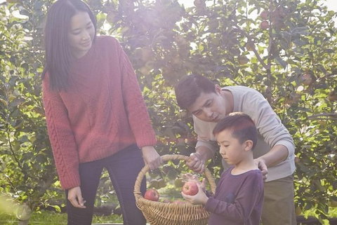 Blue Mountains Botanic Garden And Bilpin Tour From Katoomba With Cider Tasting - Phillip Island Accommodation 1