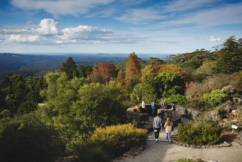 Blue Mountains Botanic Garden And Bilpin Tour From Katoomba With Cider Tasting - Phillip Island Accommodation 5