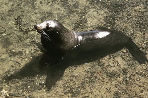 South Coast Photography Field Day - Phillip Island Accommodation 5