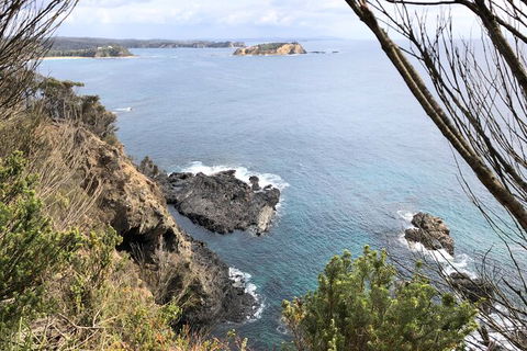 South Coast Photography Field Day - Phillip Island Accommodation 8