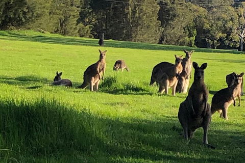 South Coast Photography Field Day - Phillip Island Accommodation 6