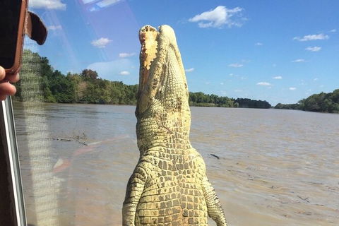 Adelaide River Queen Cruise Shuttle Bus - Phillip Island Accommodation 5