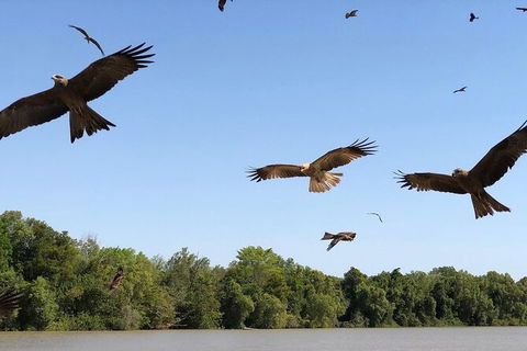 Adelaide River Queen Cruise Shuttle Bus - Phillip Island Accommodation 3