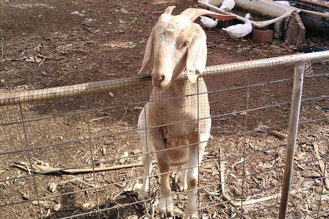 Full-Day Private Guided Tour To Litchfield National Park - Phillip Island Accommodation 10