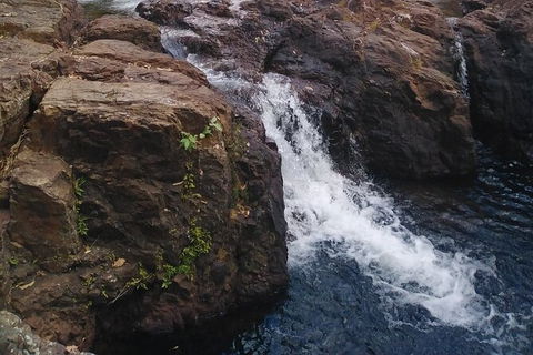 Full-Day Private Guided Tour To Litchfield National Park - Phillip Island Accommodation 8